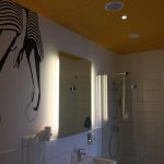 IBIS Styles Wroclaw Bathroom