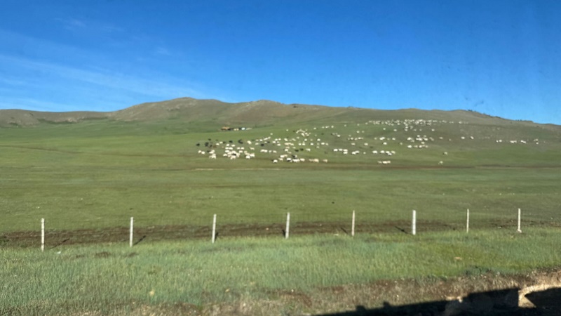 train view mongolia