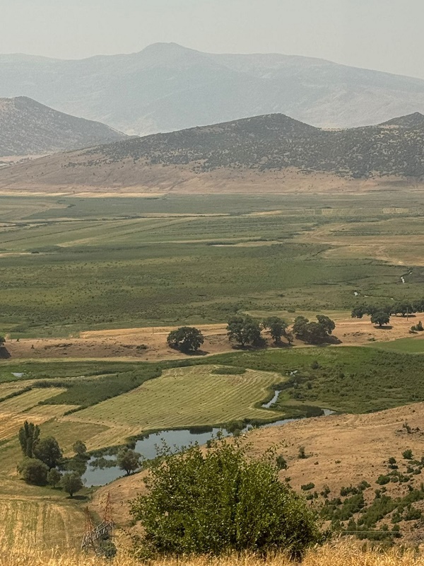turkey train view