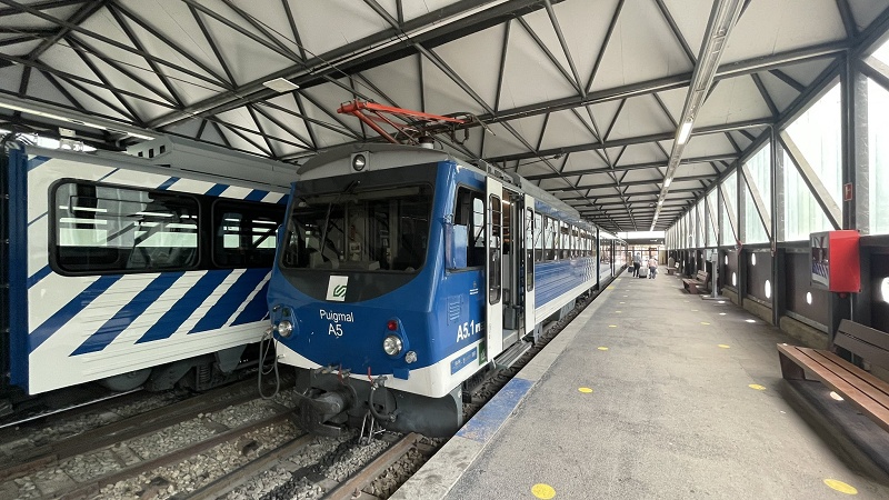 narrow-gauge train ribes station
